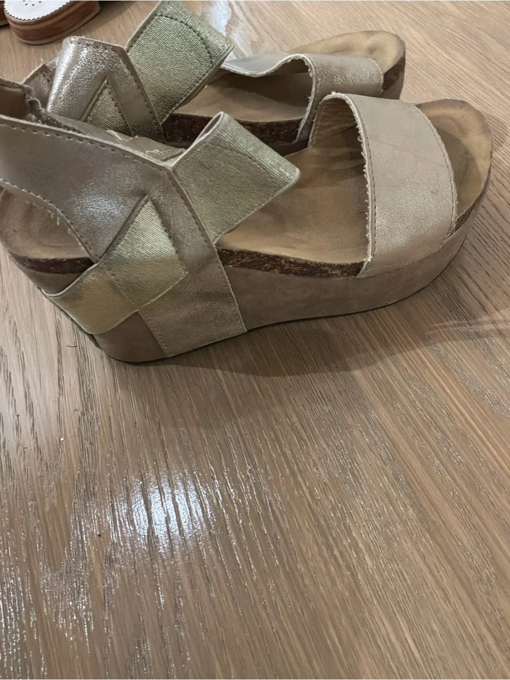 Pierre Dumas Metallic Gold Wedge Sandals